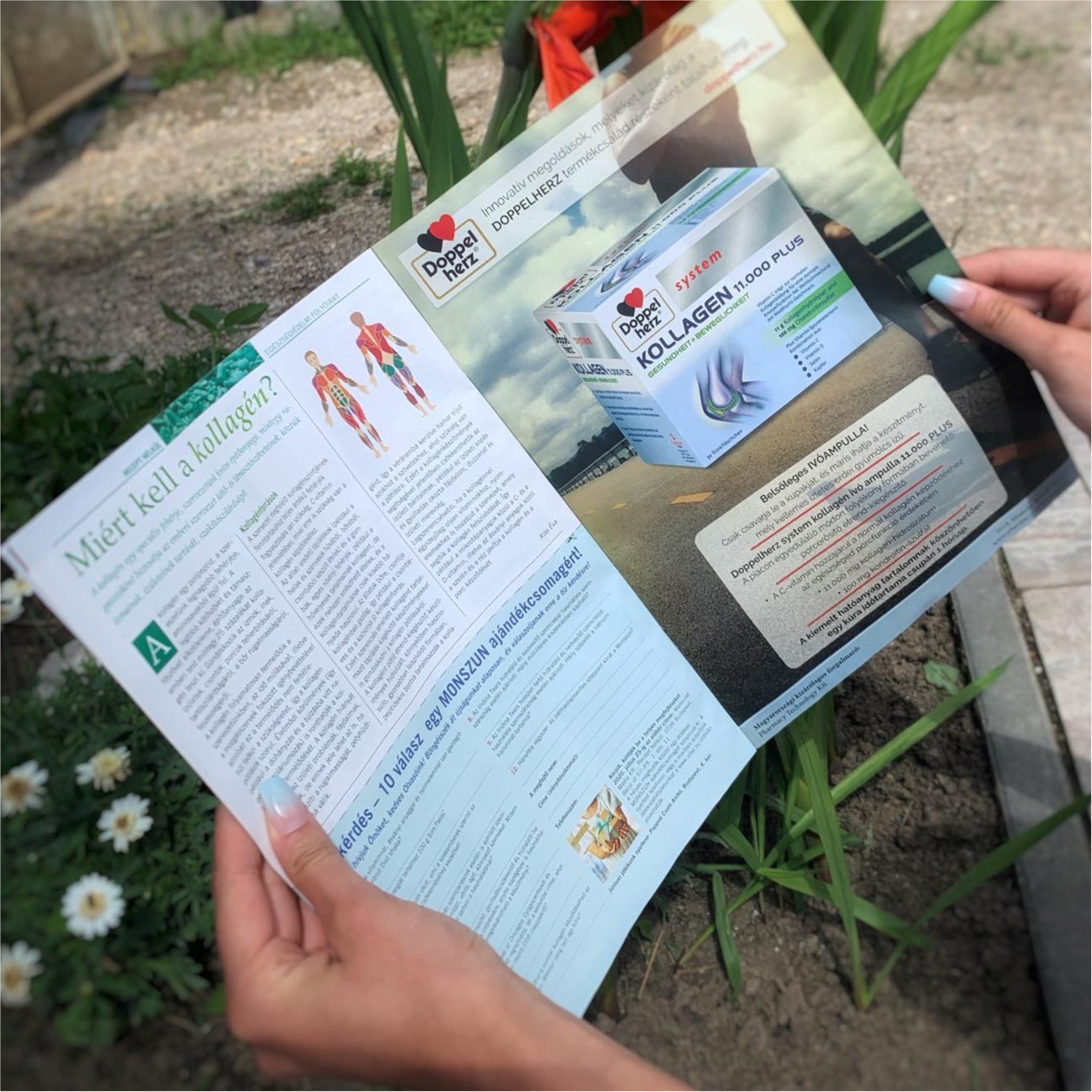 Doppelherz Porcvitamin – Cikk a RECEPT NÉLKÜL Újságban